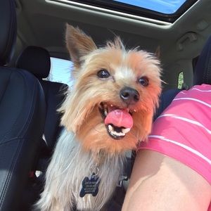 Meet your Posher, Caitlin